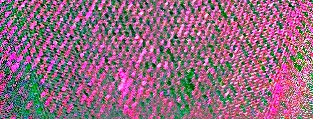 pinkgreen-negjeansblend.jpg