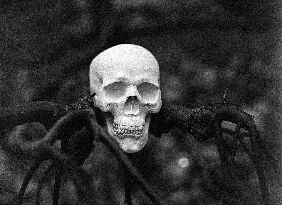 Skull-Dead-Spooky-Scary-Tree-Halloween-Horror-2081220.jpg