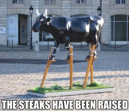 cow.jpg