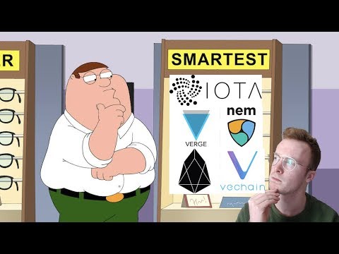 nem and vchain.jpg