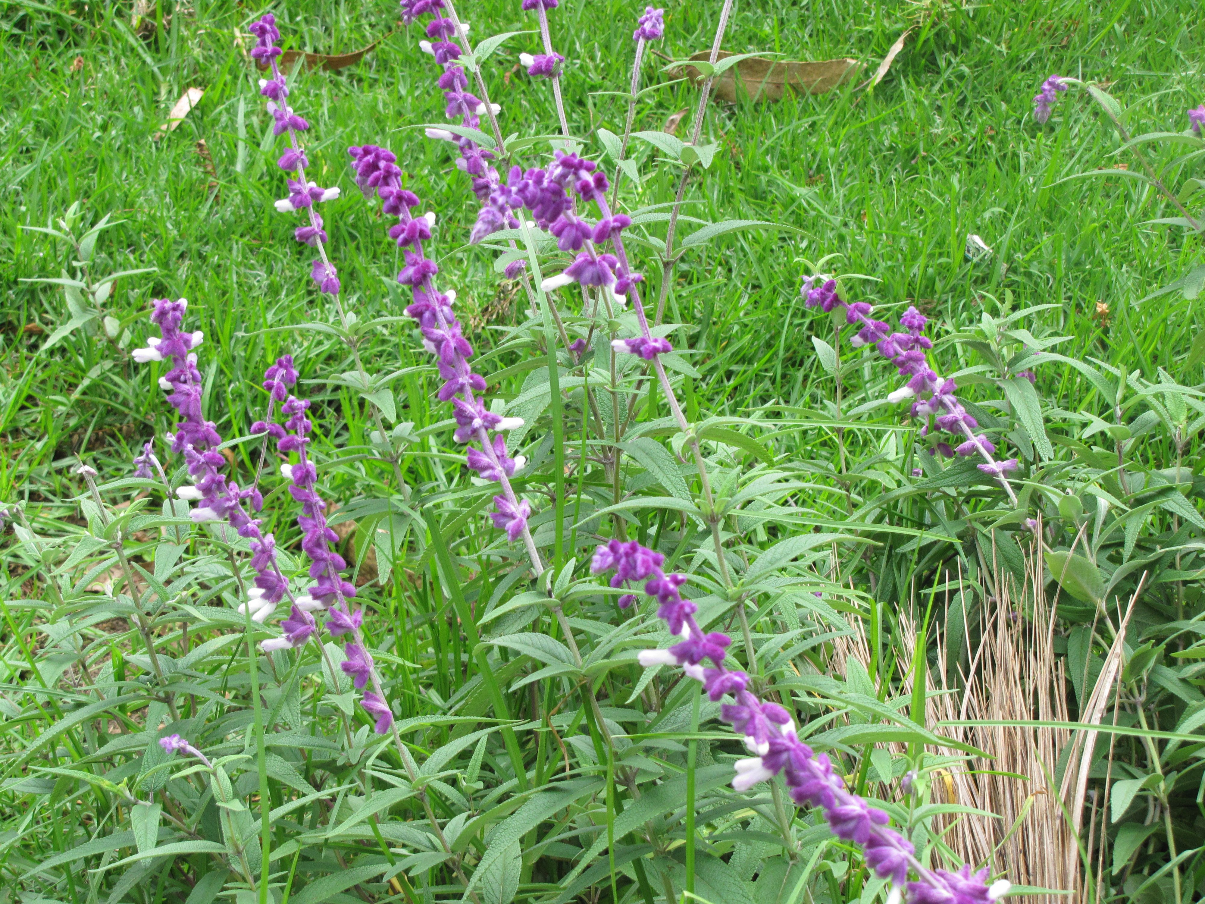 south trip 2013 623.jpg