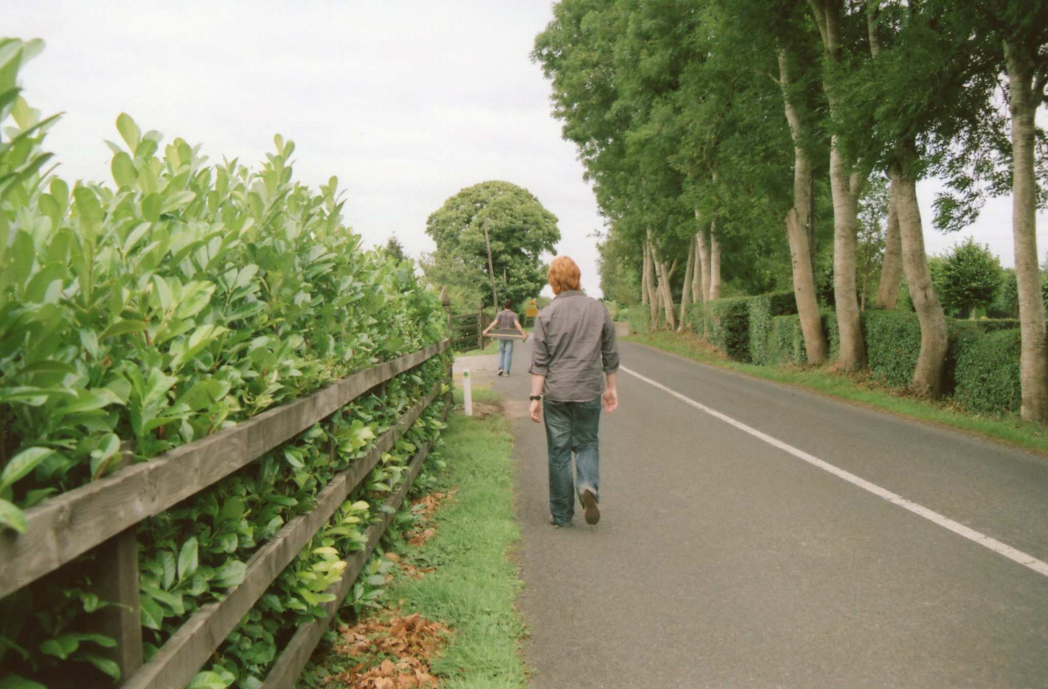 Walking 1.jpg