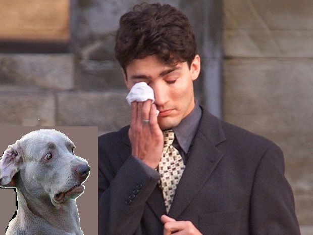 canada-justin-trudeau-weepyphotochallenge.jpg