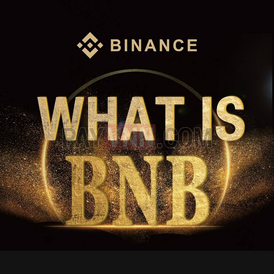 BNB-coin-la-gi.jpg