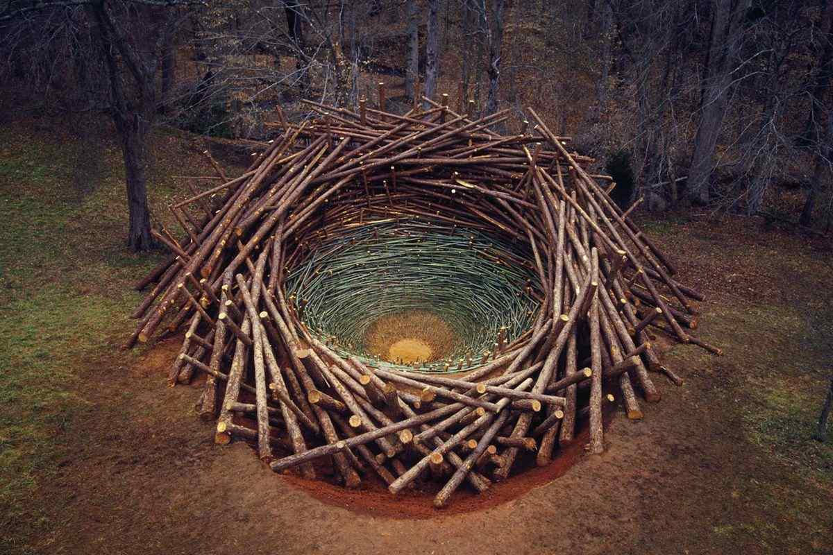 Nils-Udo-Clemson-Clay-Nest-2005-via-grrlandog-tumblr.jpg