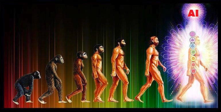 evolution-2.jpg