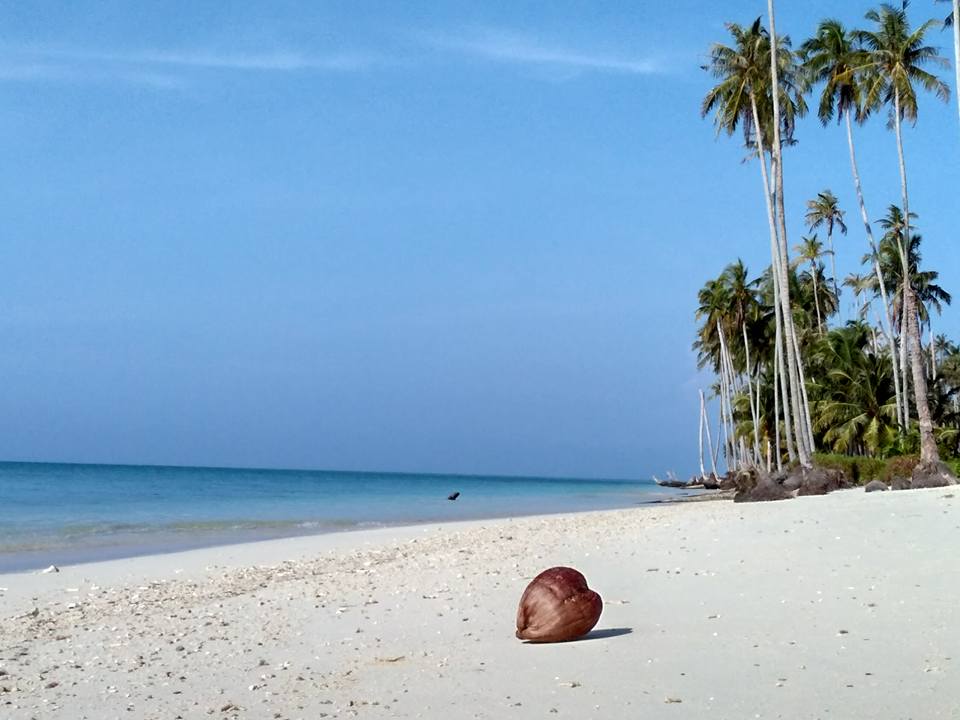 Buah Leuping Di Pantai Pulau Banyak.jpg