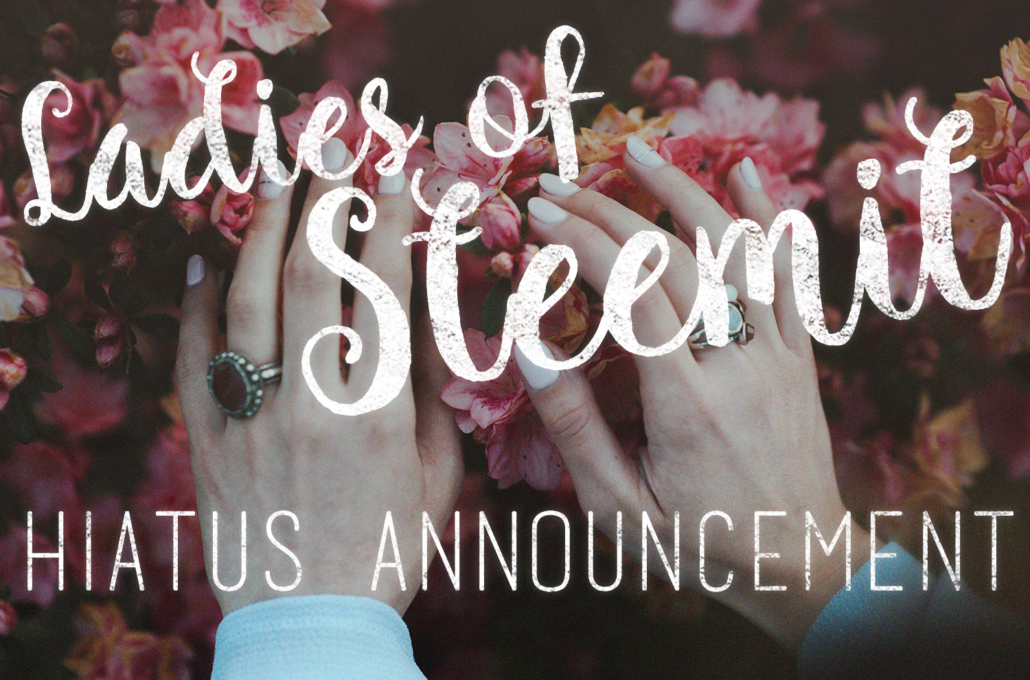 ladies-of-steemit-banner-haitus.jpg