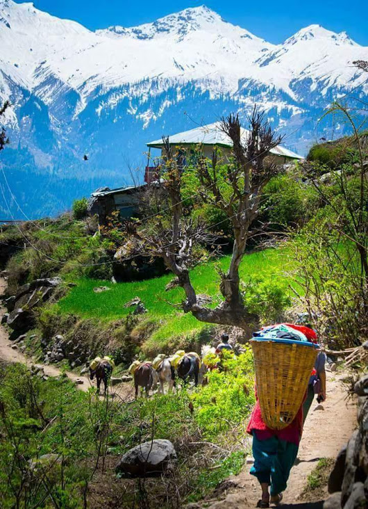 Tosh%20village%20at%20Kullu%20.jpg