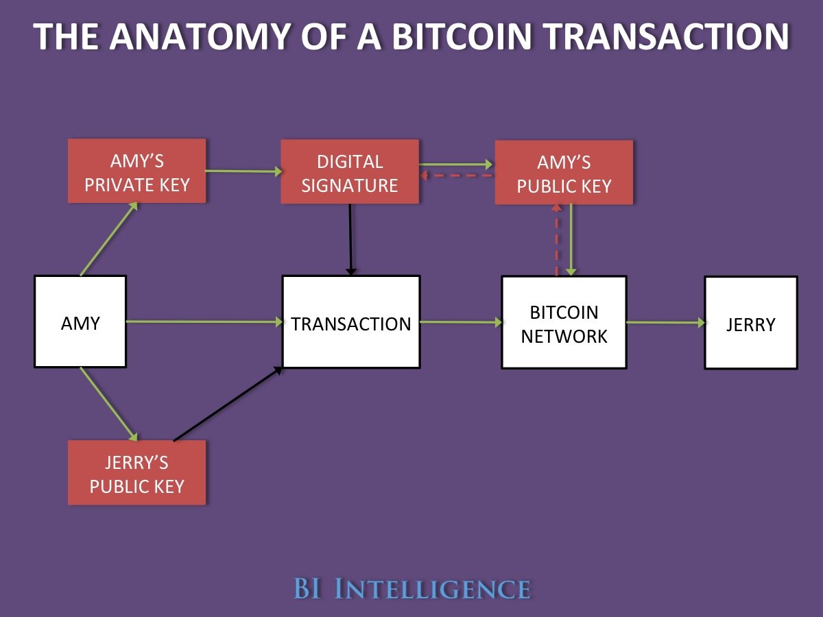 anatomy of a bitcoin transaction.jpg