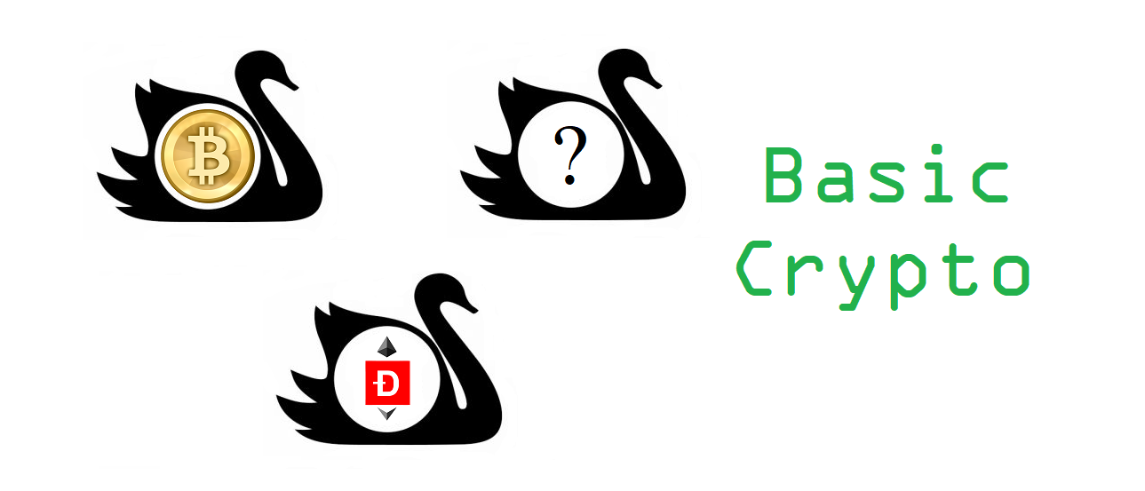 black swan crypto