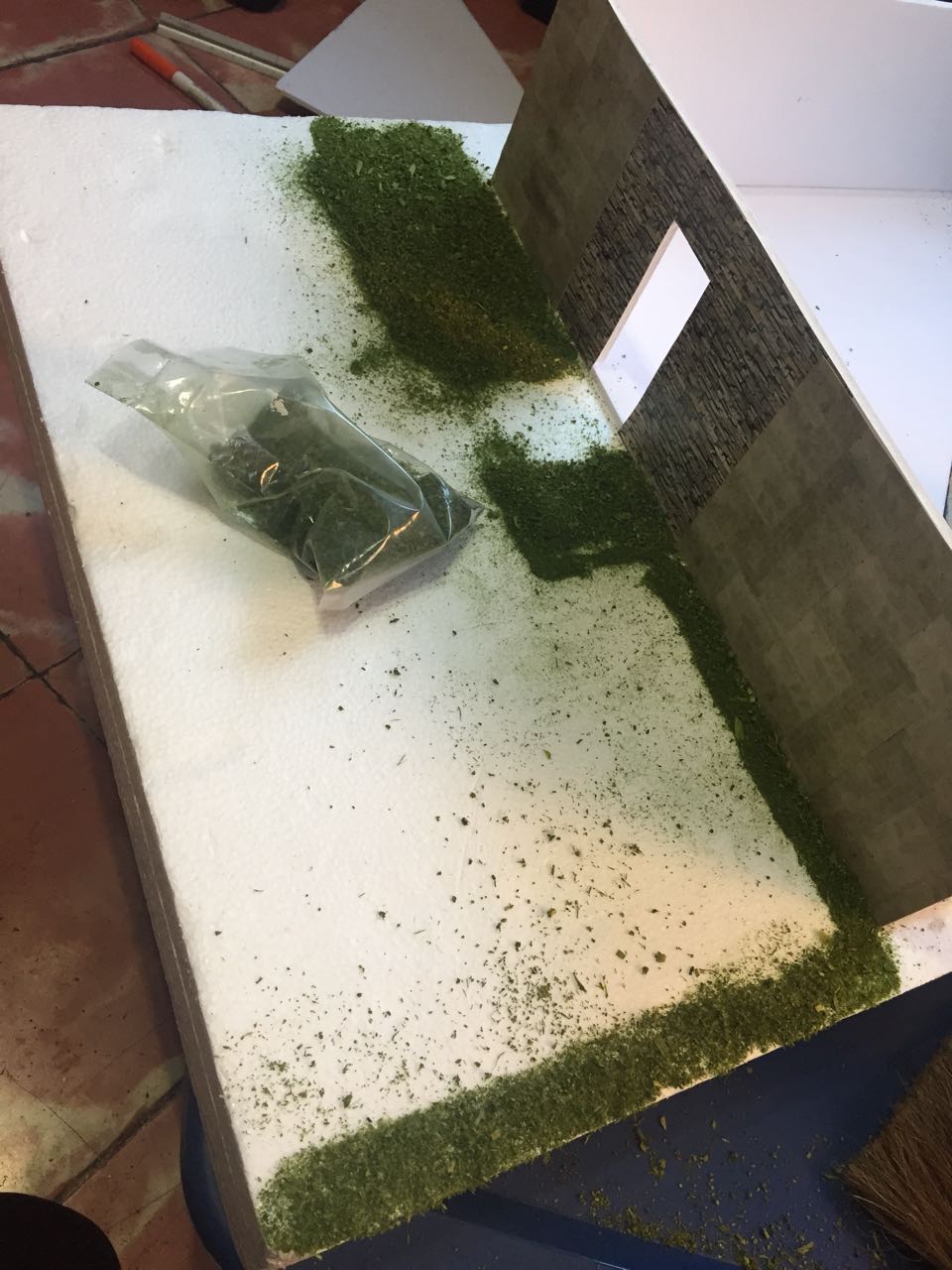 fg(JPEG Imagen, 960x1280 píxeles) - Escalado (51%).jpg