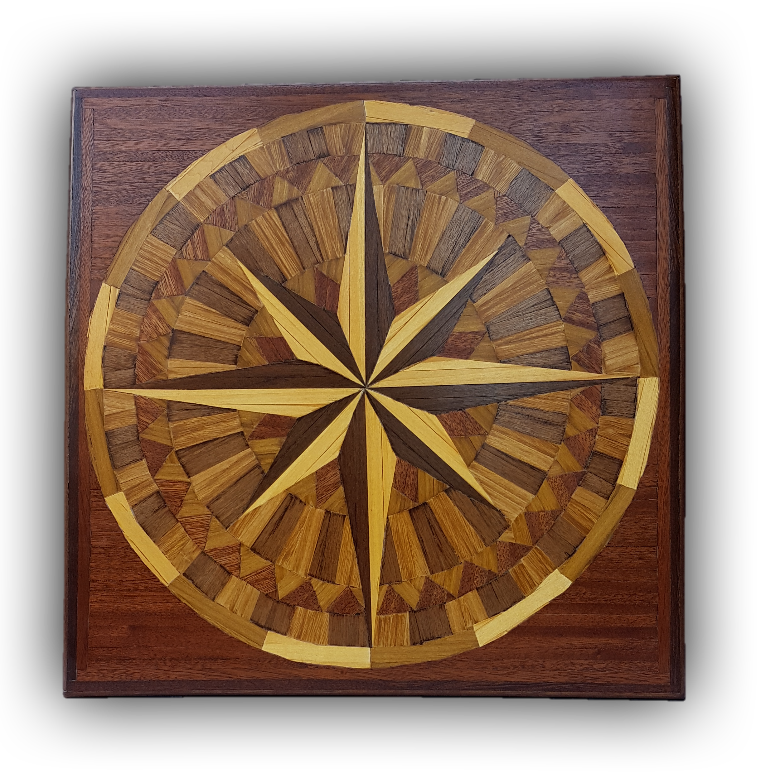 046_WIND ROSE.png