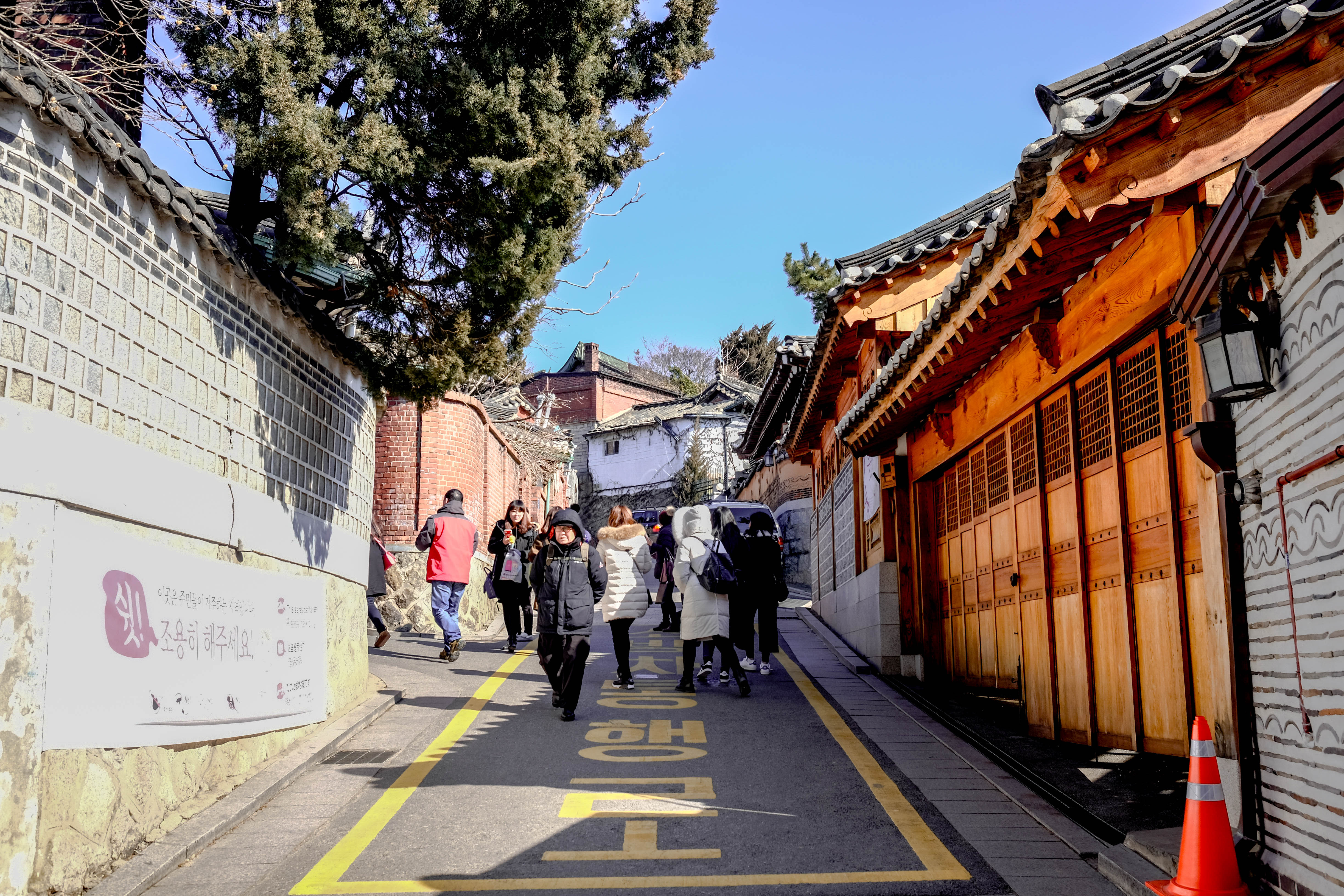 DSCF9162.jpg