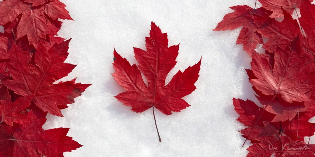 leaf_flag_1200x600_wm-1024x512.jpg