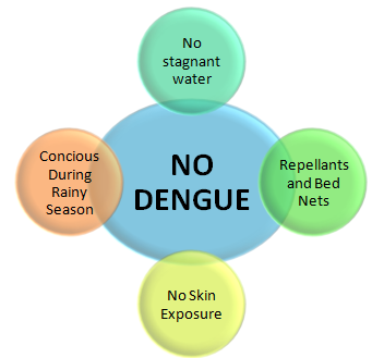 precaution-dengue.png