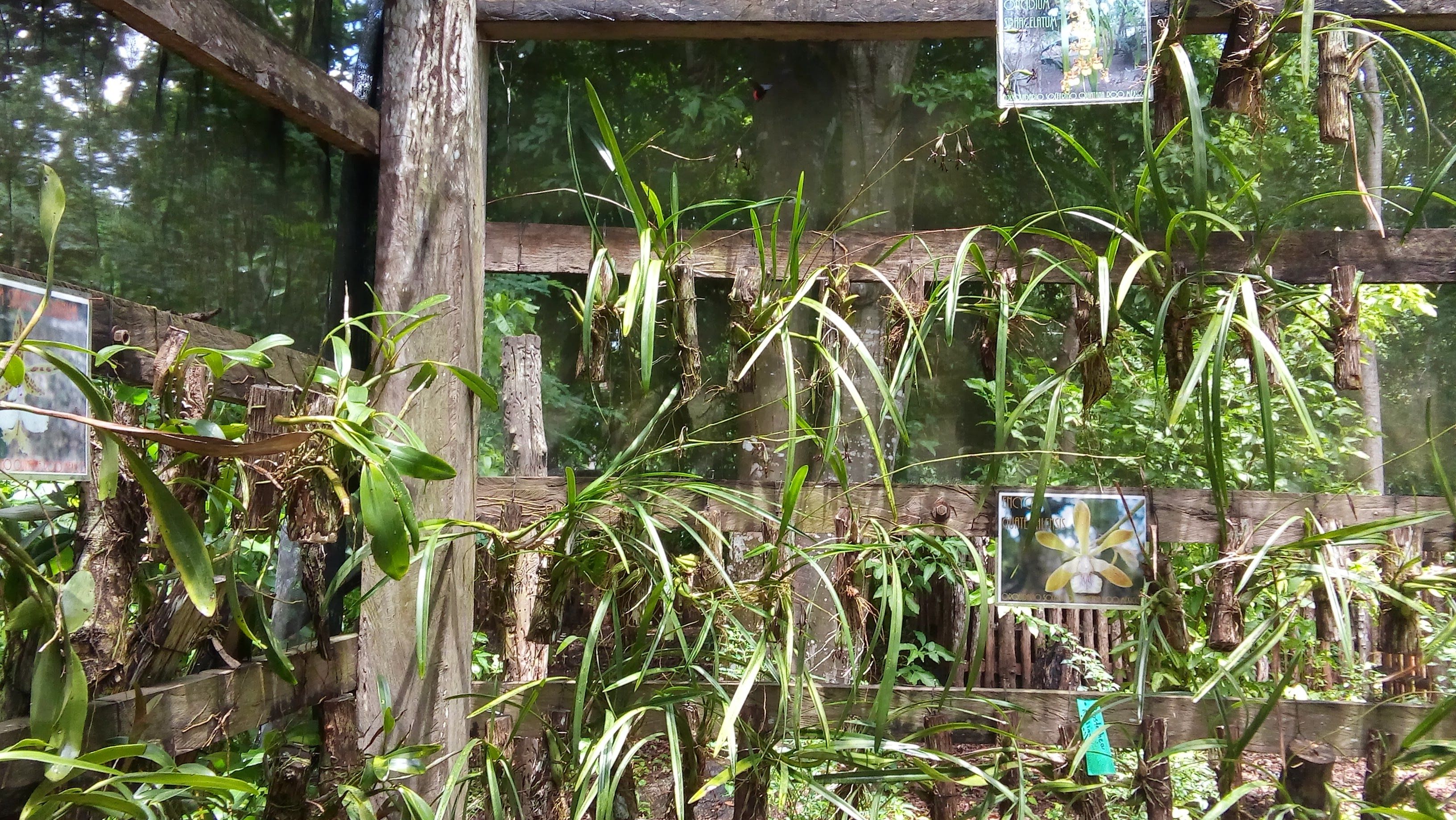 20160727_135801.jpg