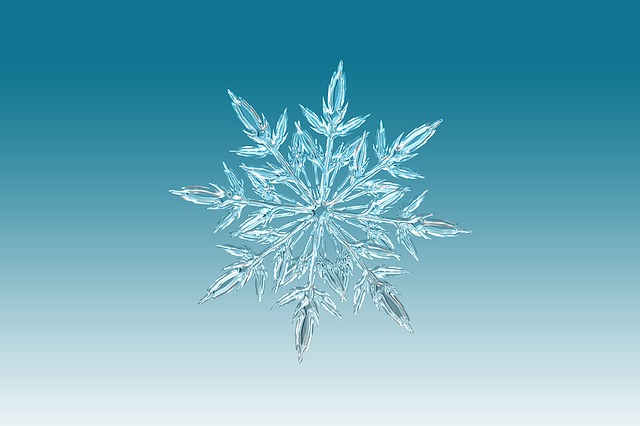 maxpixel.freegreatpicture.com-Crystal-Snowflake-Ice-Crystal-Christmas-1065155.jpg