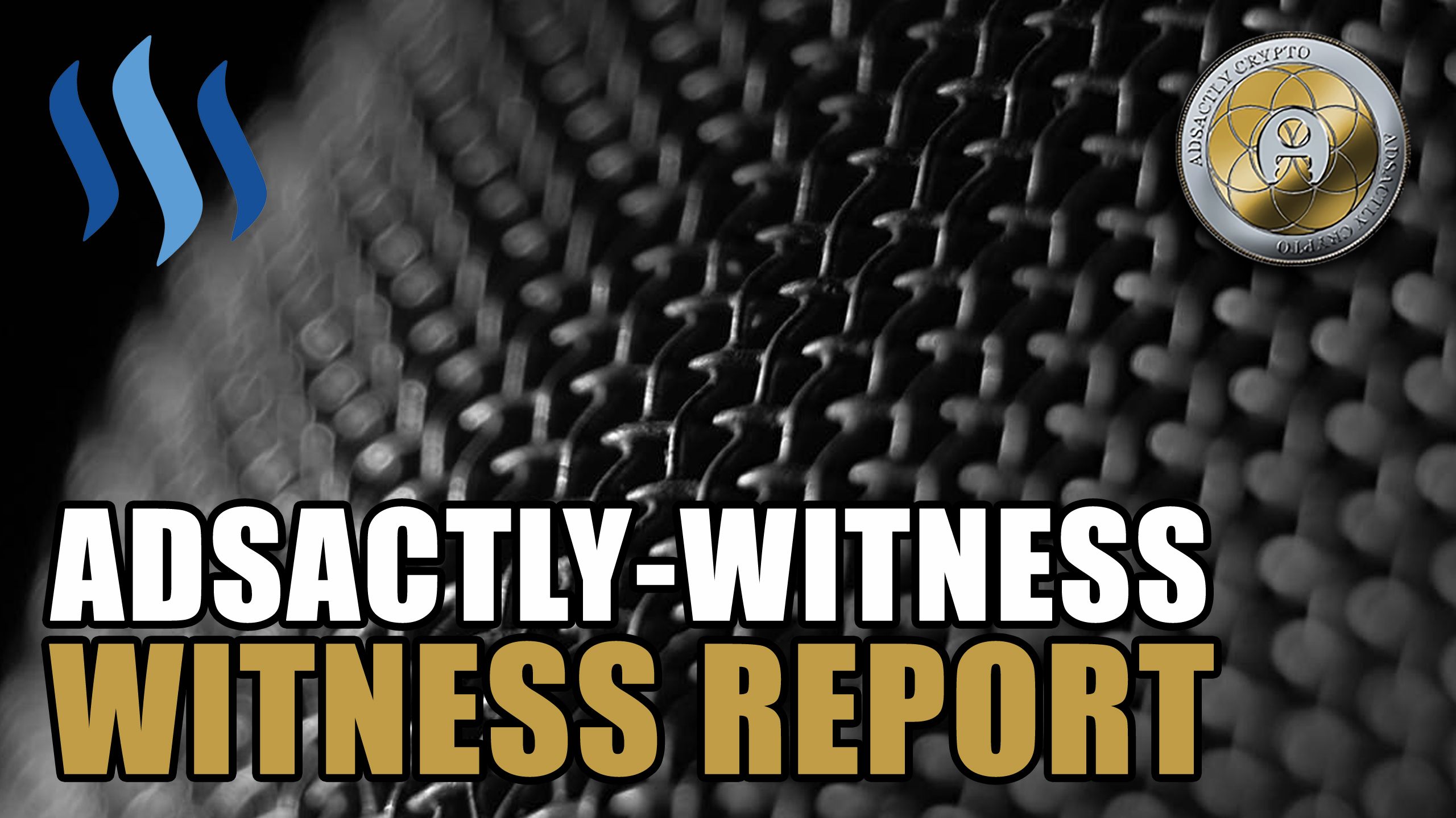 Adsactly Witness Report Cover.jpg