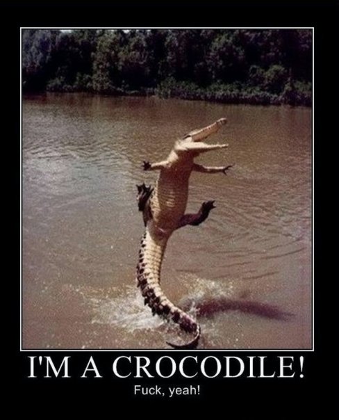 Happy Croc.jpg