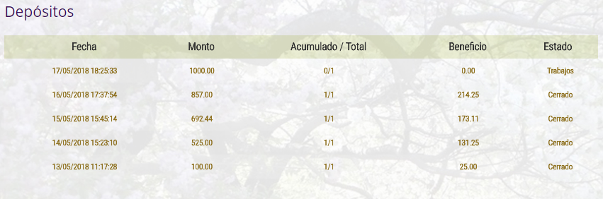 ASALEA DEPOSITO 2.png