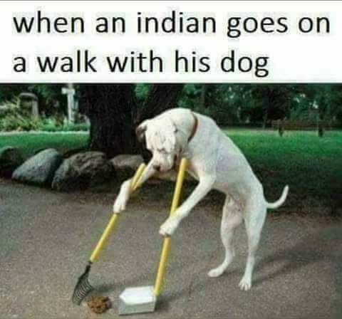 indian goes to walk with dog.jpg
