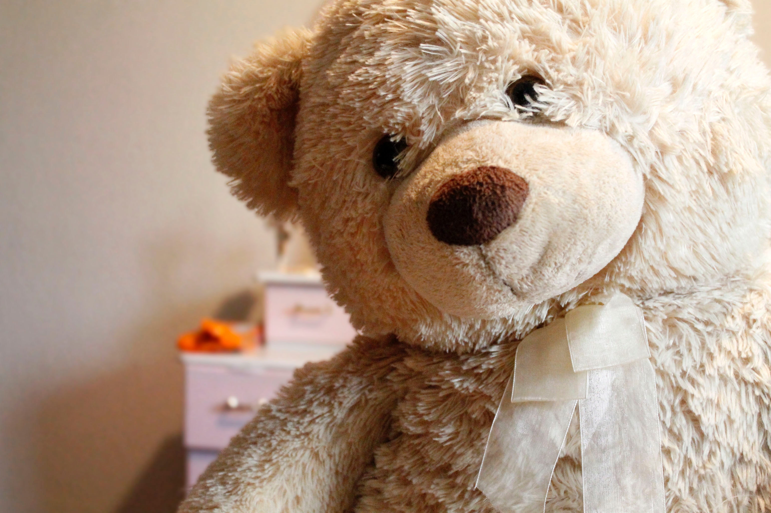 teddy-bear-toy-37158.jpg