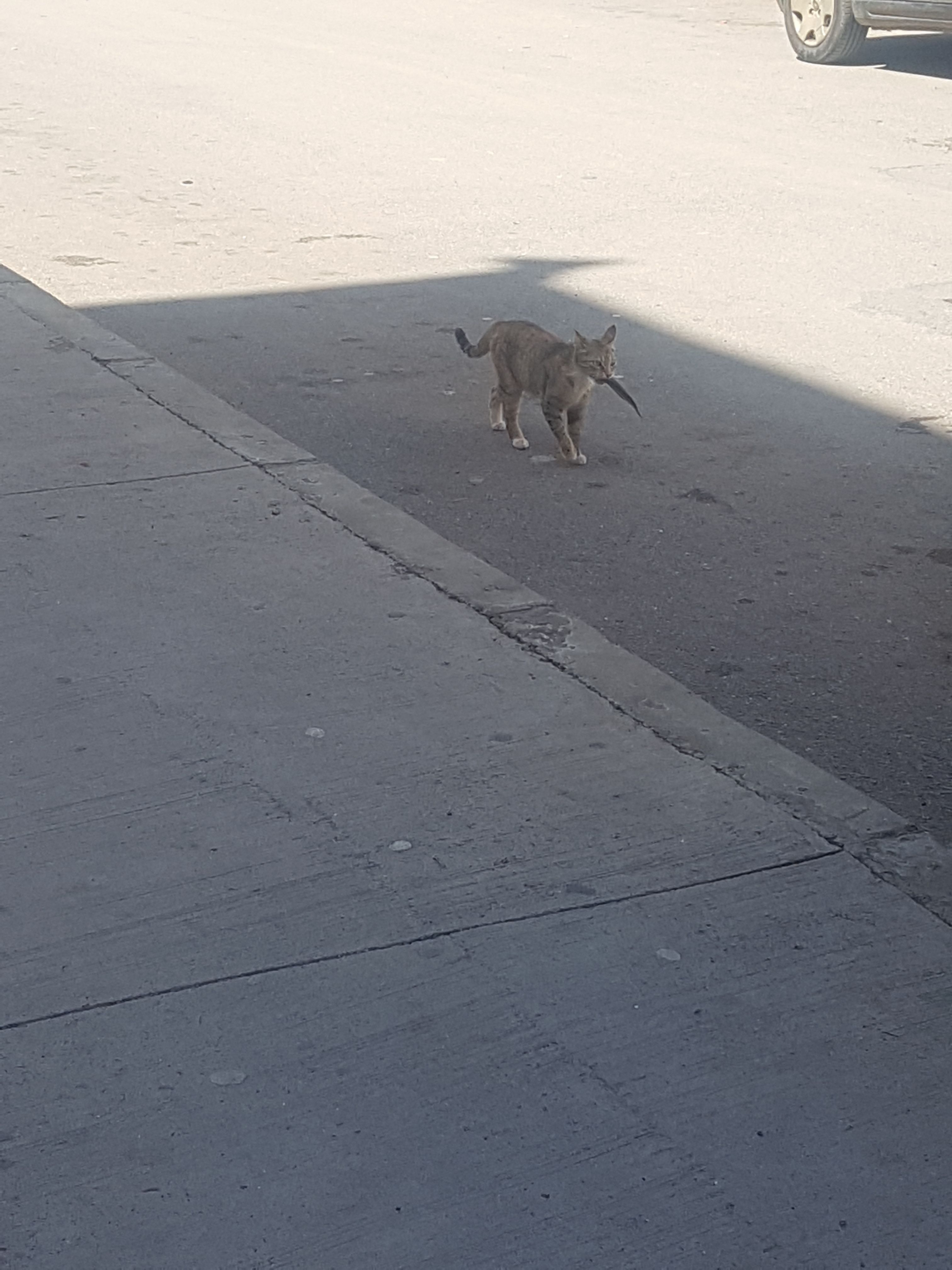 20180415_121706.jpg