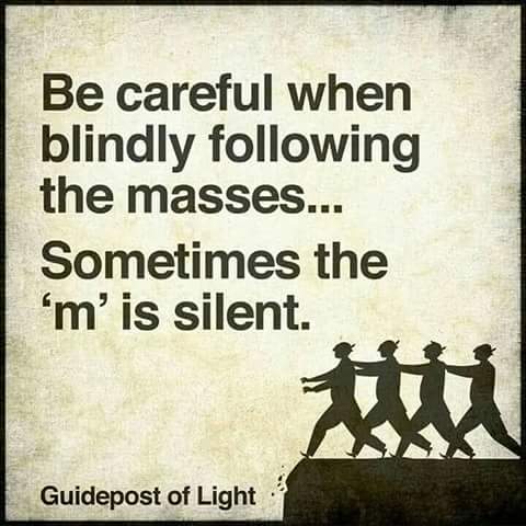 FB_IMG_1521821354255.jpg