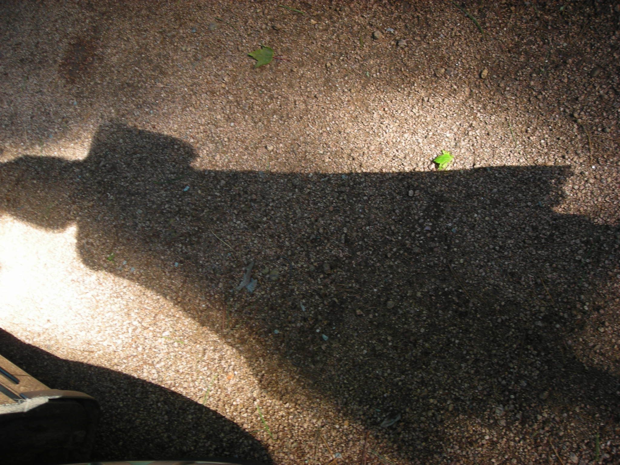 DSCN2747.JPG