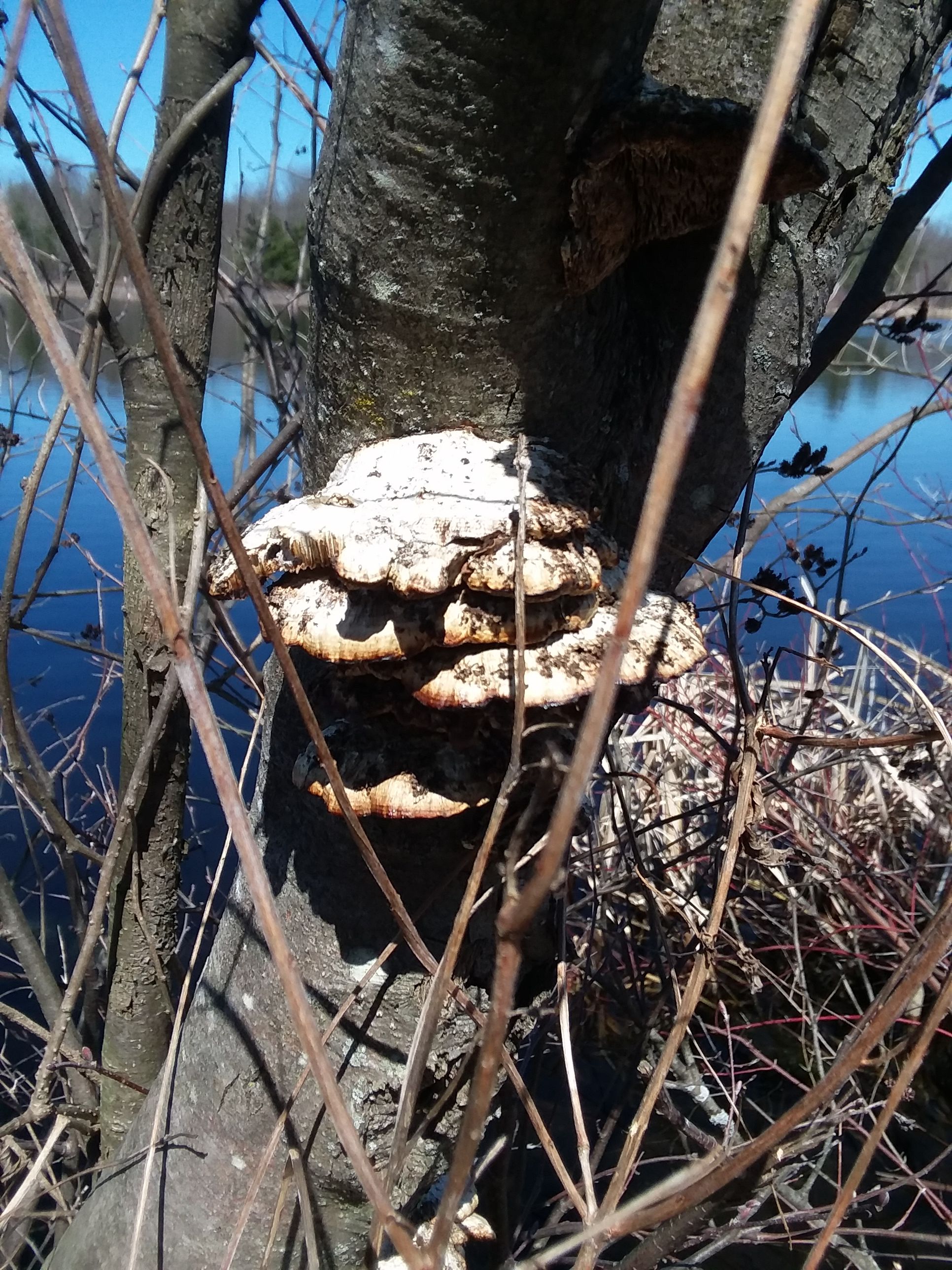 20180422_134138.jpg
