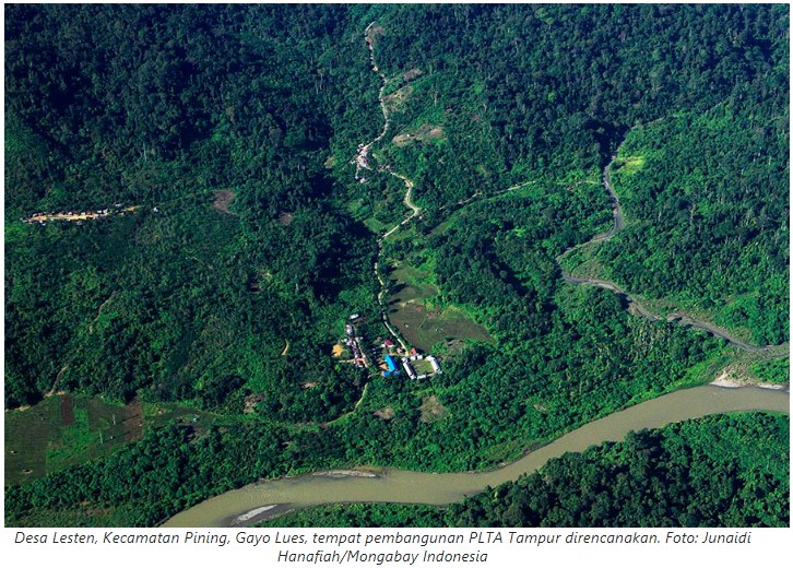 Source Screenshot from www.mongabay.co.id, pictures by Junaidi Hanafiah 3.jpg