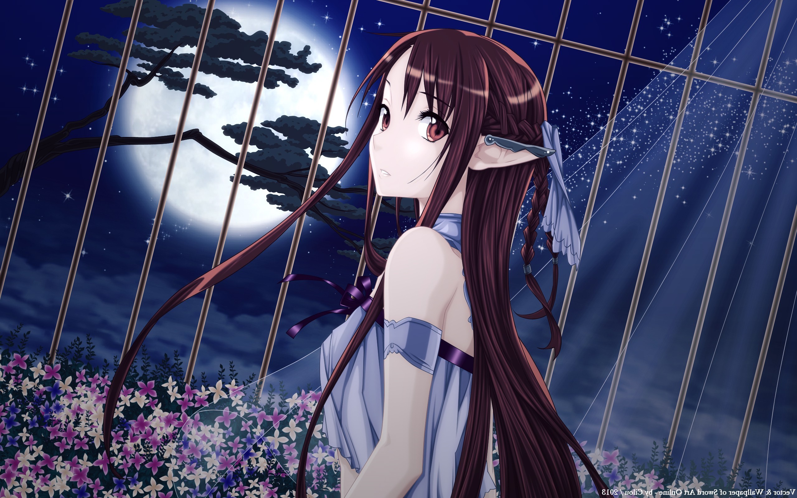 34302-anime-Sword_Art_Online-anime_girls-Yuuki_Asuna-elves-moon.jpg