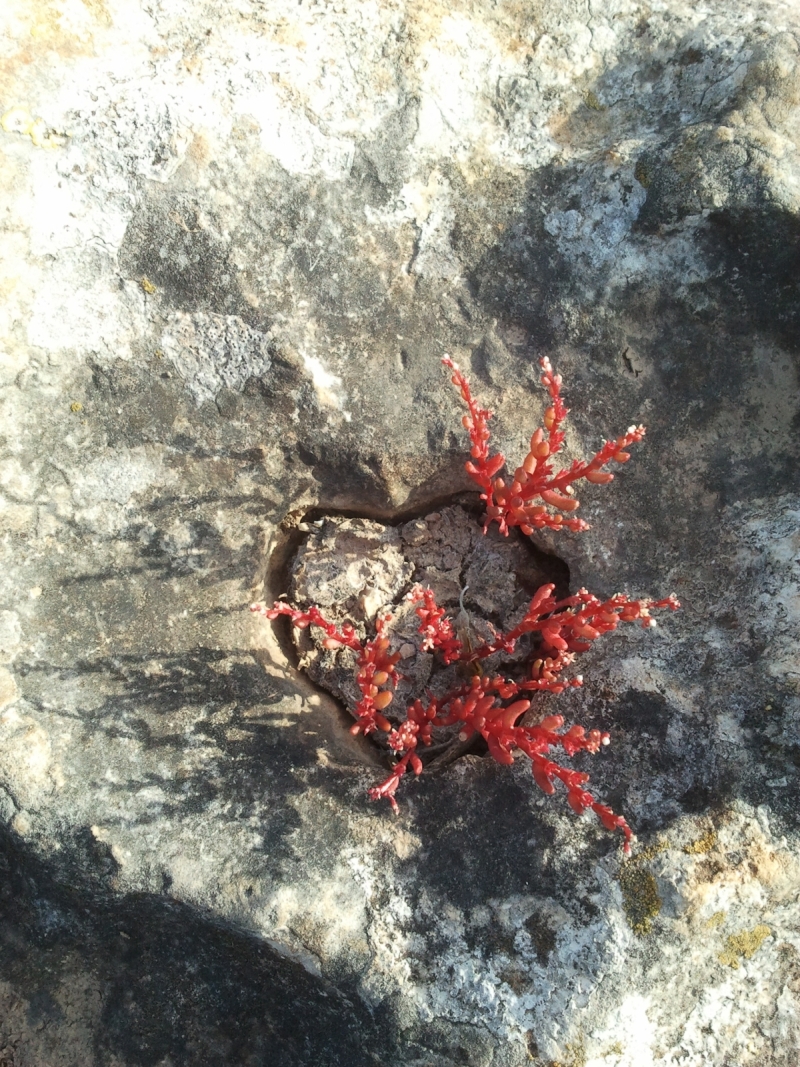 Love on the rocks.jpg