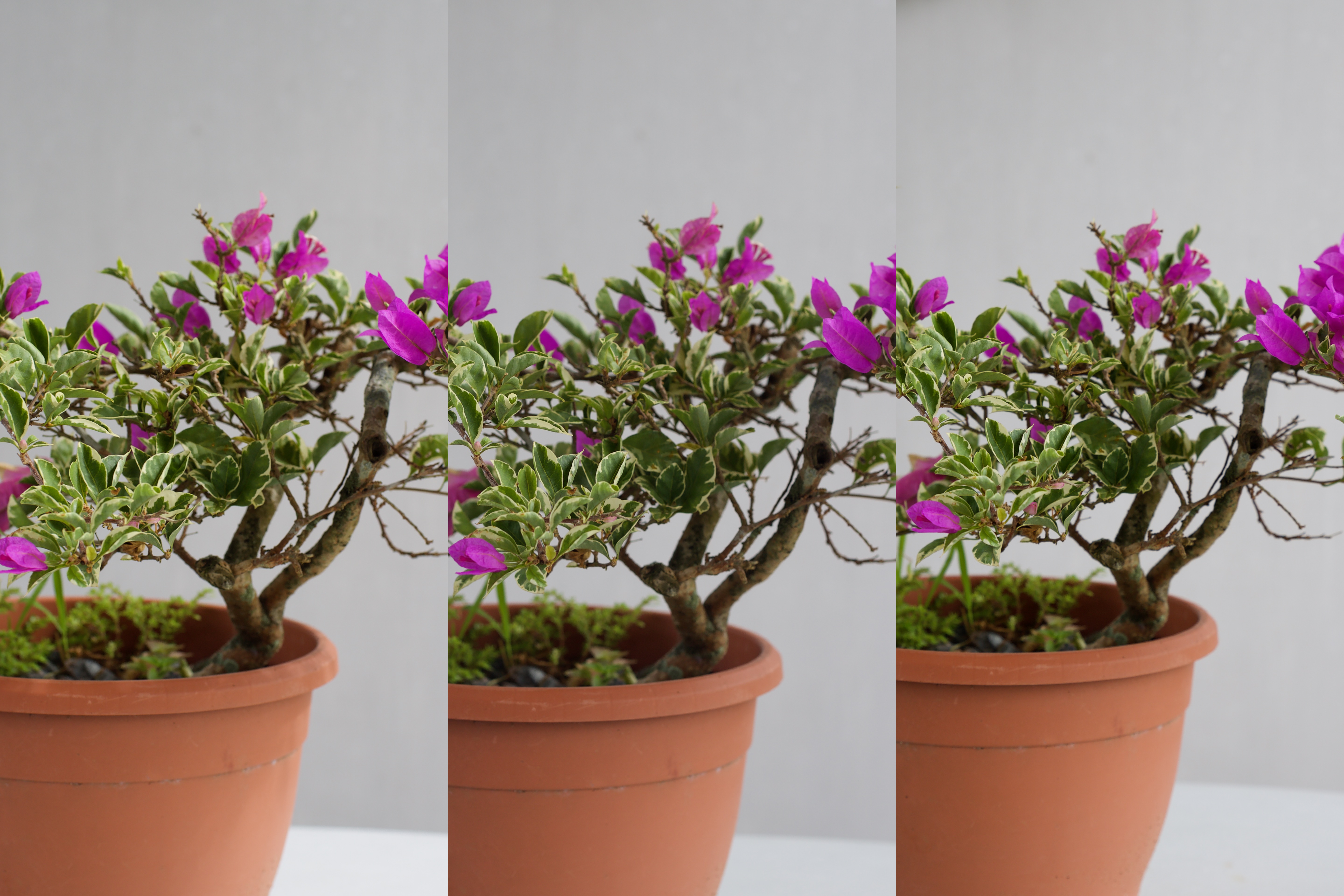 My gear 5D f:5.6.jpg