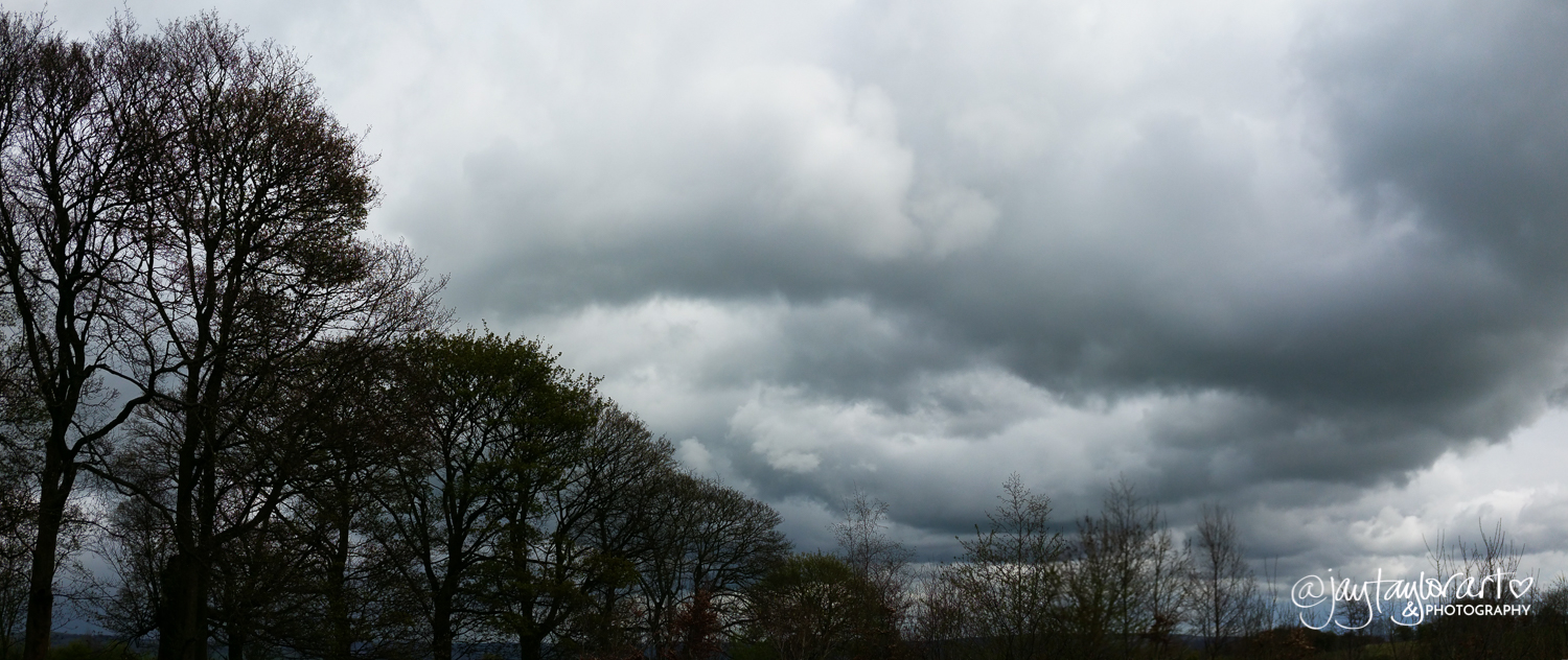 sunday-selfie-clouds-trees.jpg