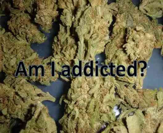 Am-I-Addicted-To-Marijuana.jpg