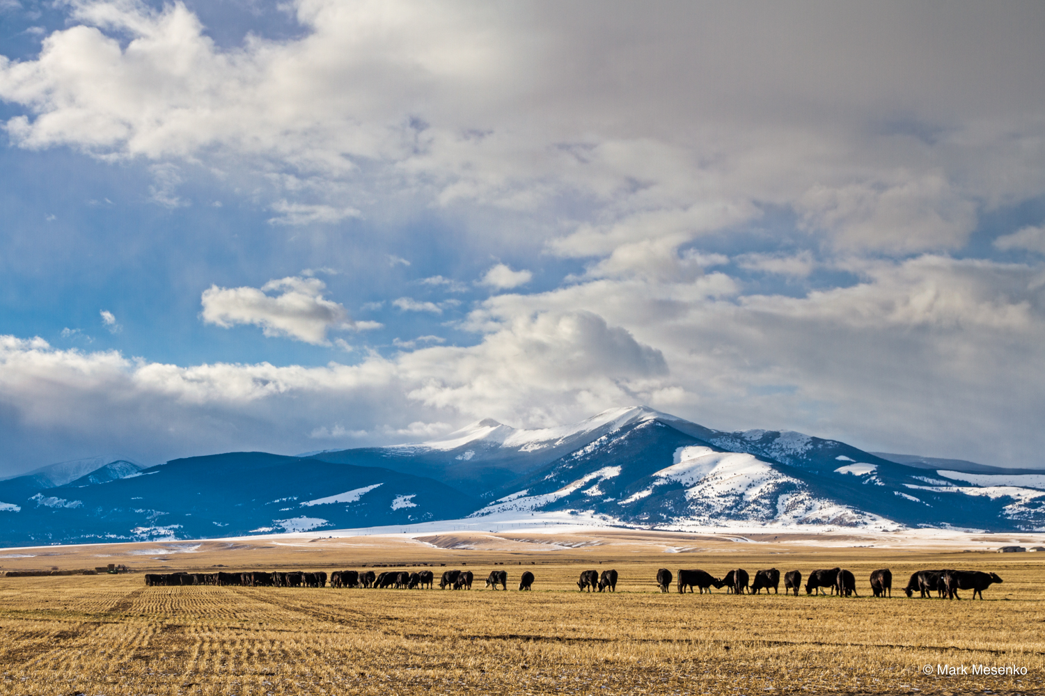 _MG_0715-Edit-Edit_sm.jpg