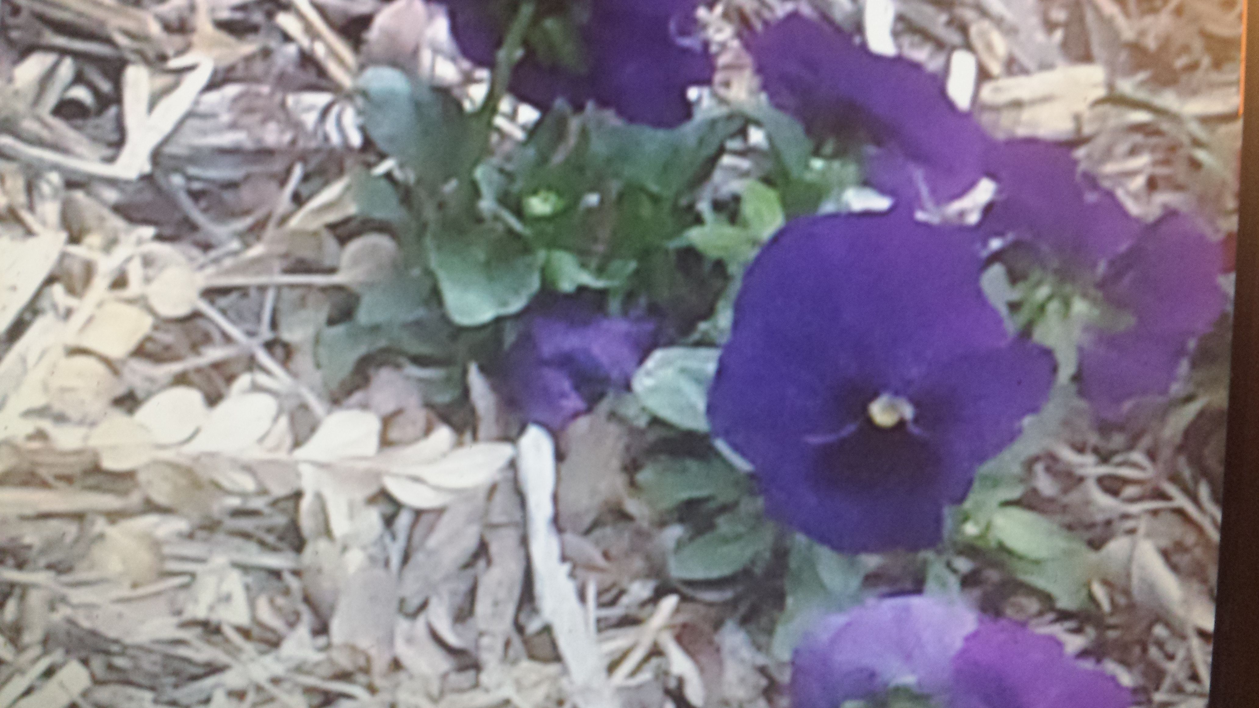 20180320_224028.jpg