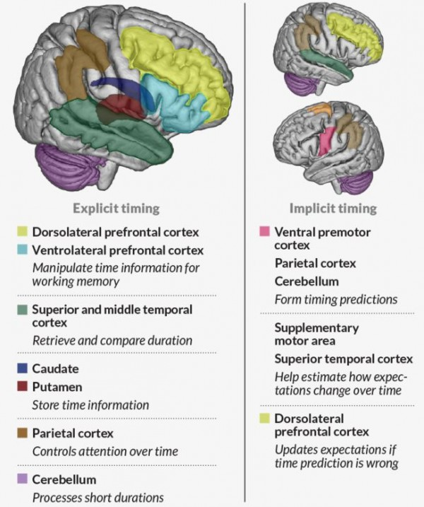 Thinking about the human senses - #2 — Steemit