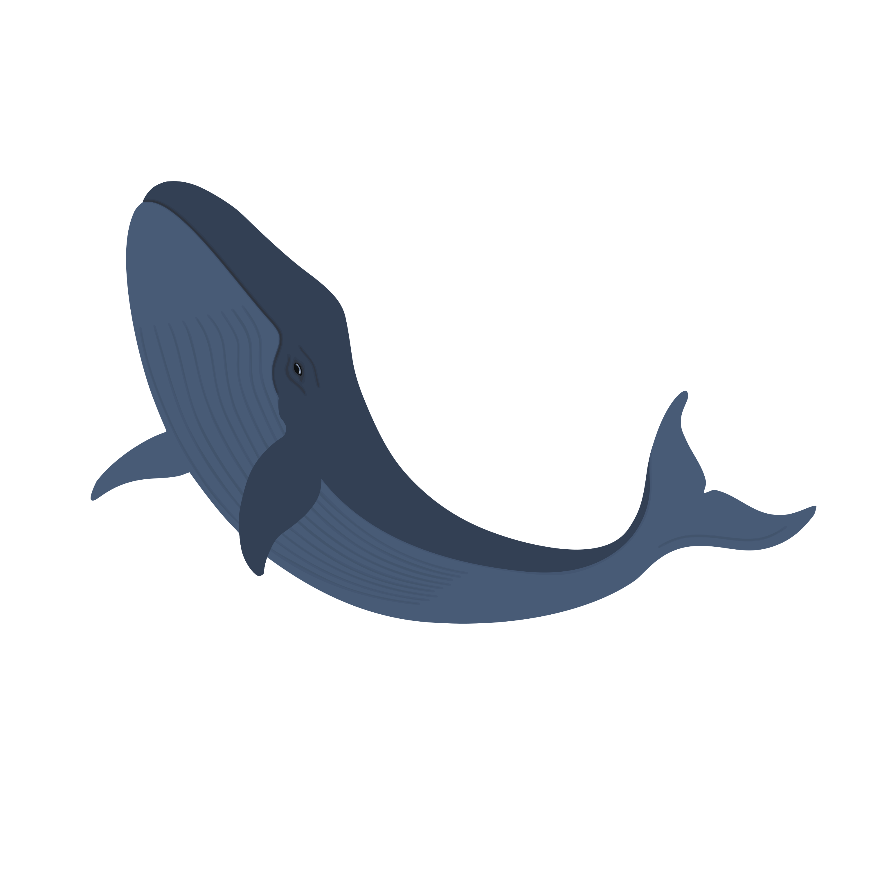 induswhale