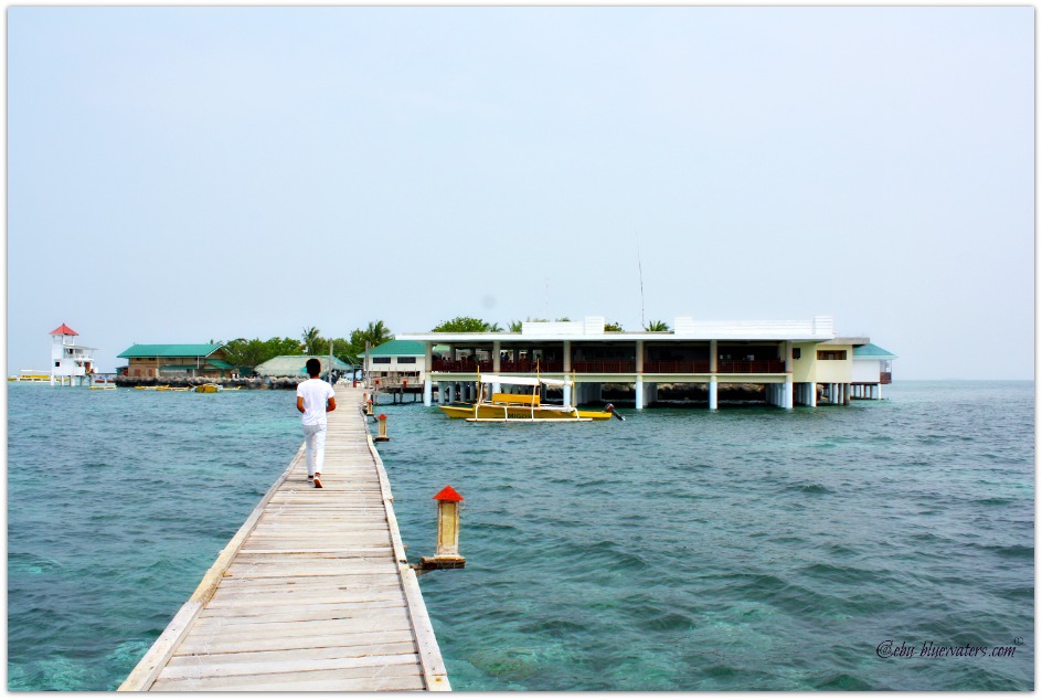 nalusuan-island-marine-sanctuary-930px.jpg