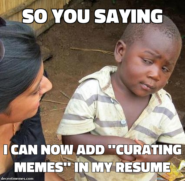 i_can_now_add_''curating_memes''_in_my_resume.jpg