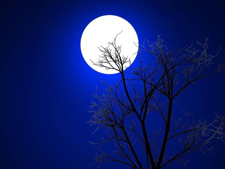 Moon Light - Cool Photos (9).jpg