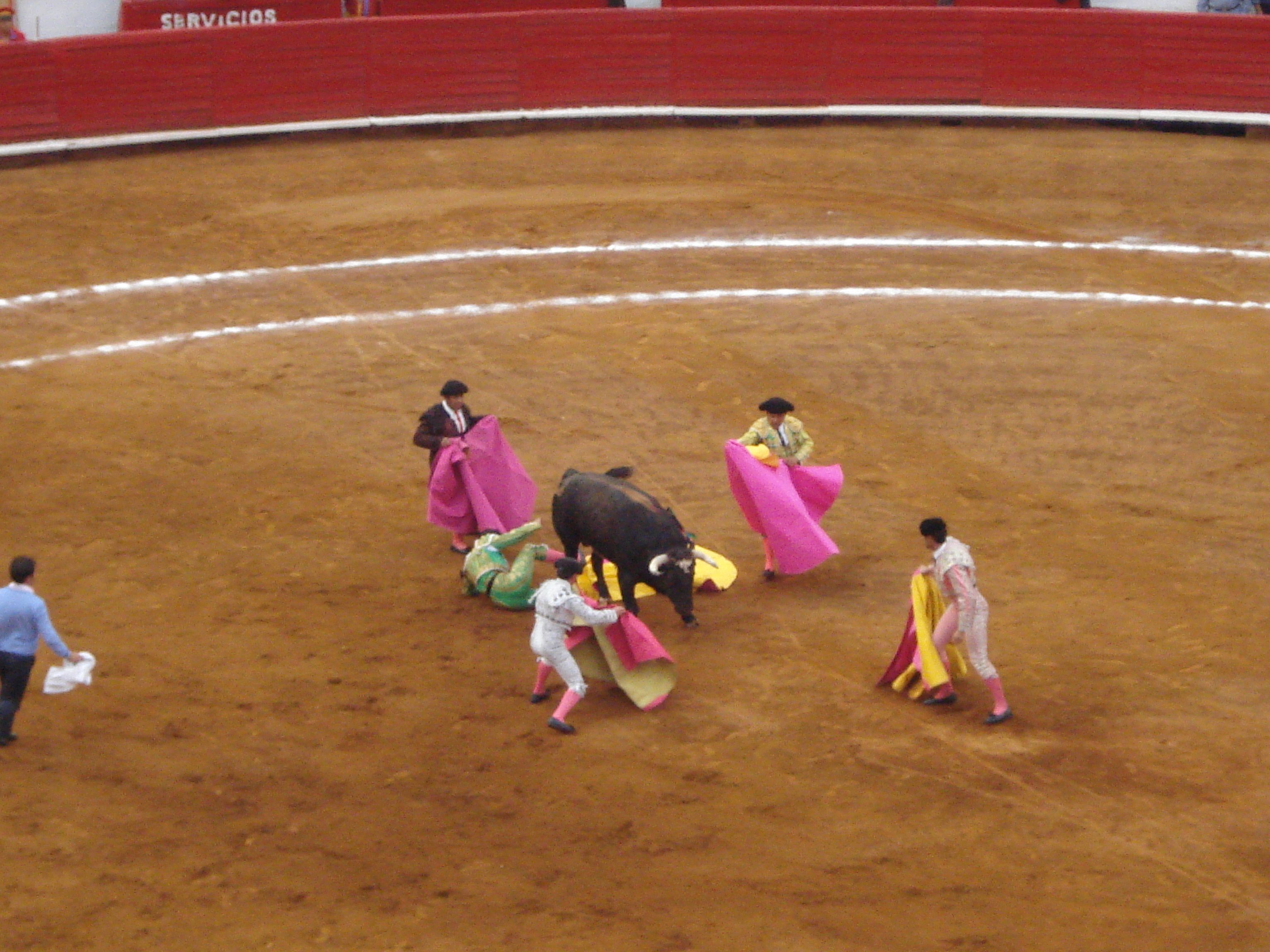 Bull Fight14.JPG