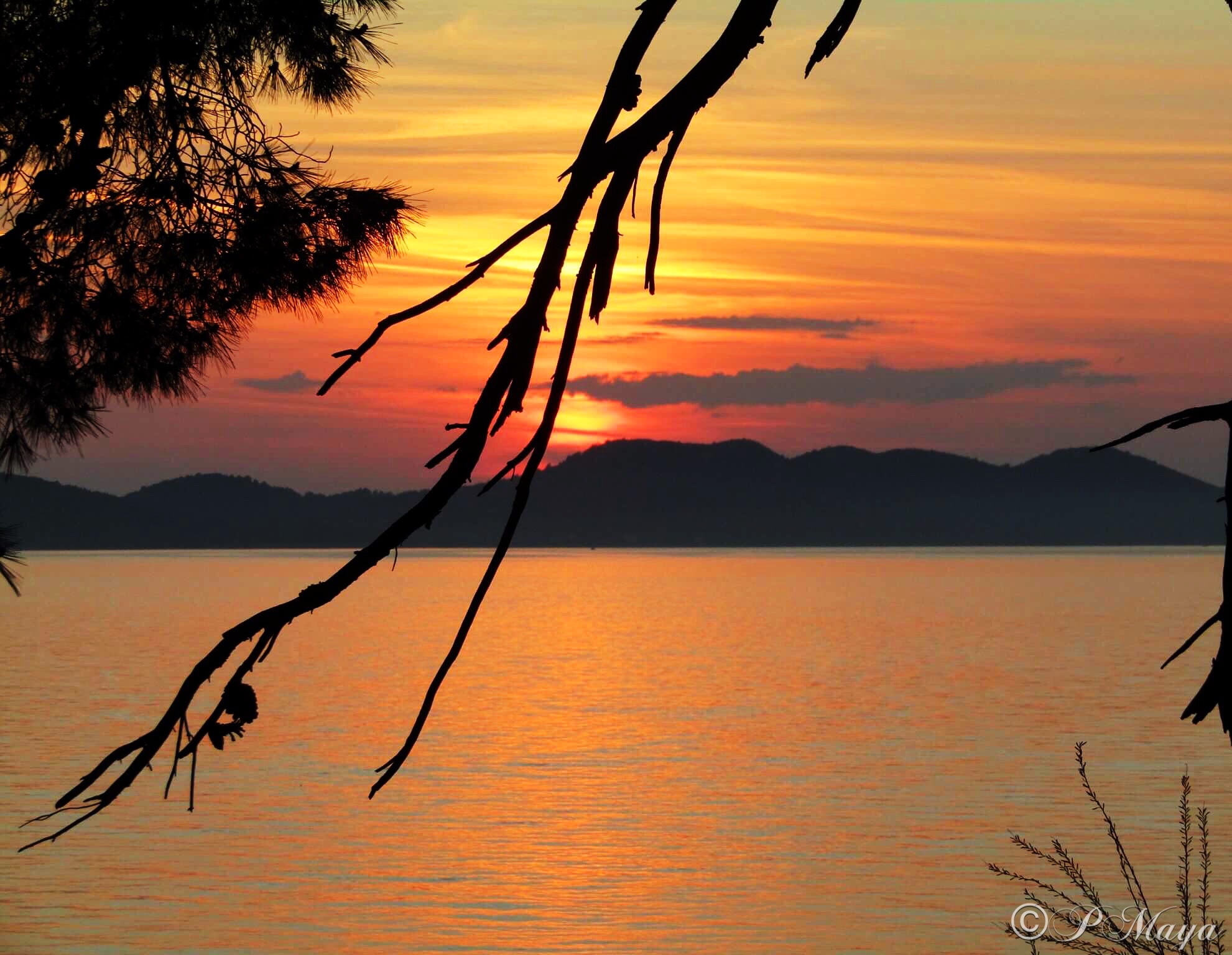 Sunset Landscape.PNG