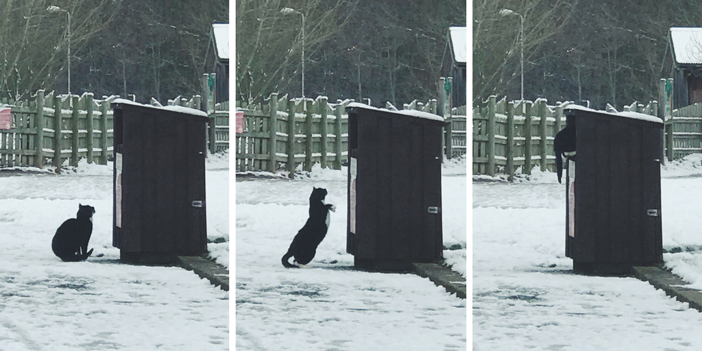 Untitled design (5).png