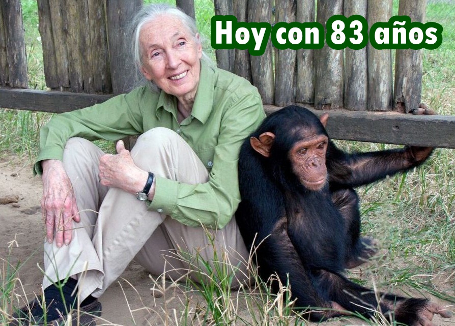 janegoodall-1024x641.jpg