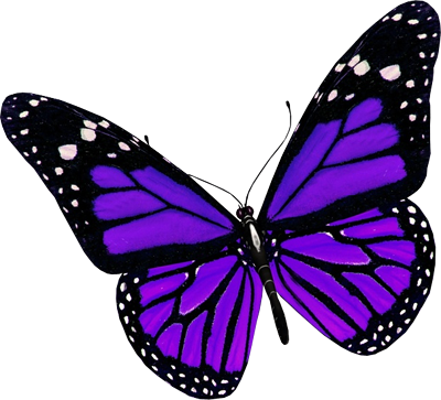 Purple-Butterfly-PNG-File.png