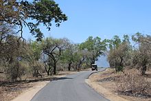 220px-Tiger_Safari_in_Mudumalai_Tiger_Reserve,_Tamil_Nadu.JPG